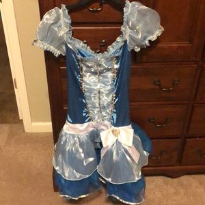 Cinderella adult costume